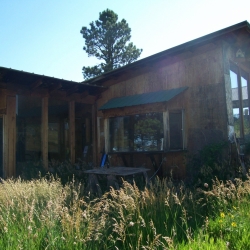 directors home with heavy summer grass