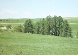 Scenic view around the school